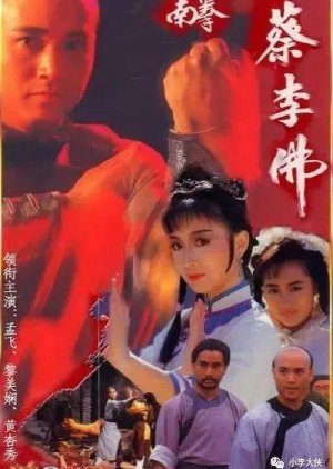 The Rise Of A Kung Fu Master 