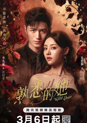 Wild Rose (2025) 